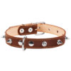 Нашийник "CoLLaR" подвійний з шипами - Image 2