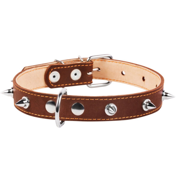 Нашийник "CoLLaR" подвійний з шипами - Image 2