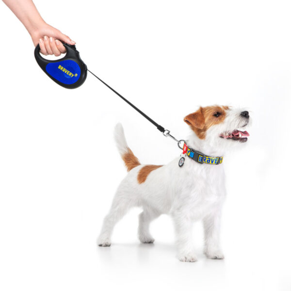 Повідець-рулетка для собак WAUDOG R-leash малюнок "Сміливість" - Image 23