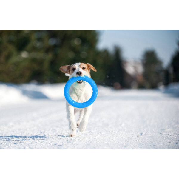 Кільце для апортировки PitchDog17 - Image 11