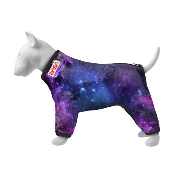 Вітровка для собак WAUDOG Clothes малюнок «NASA21»