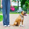 Повідець-рулетка для собак WAUDOG R-leash з контейнером для пакетів світловідбивна стрічка - Image 29