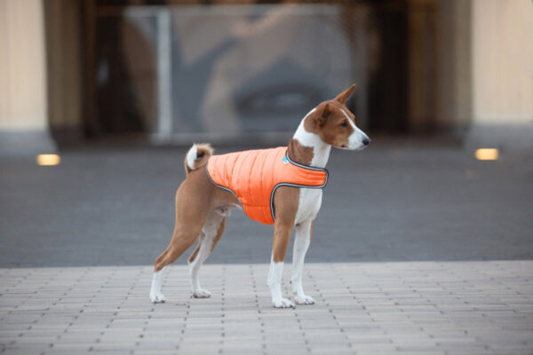 Куртка-накидка для собак AiryVest, помаранчевий - Image 32
