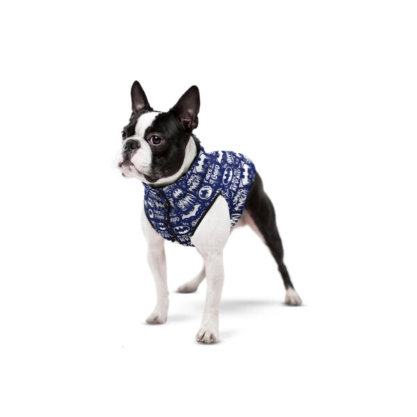 Курточка для собак WAUDOG Clothes з малюнком "Бетмен біло-блакитний" - Image 15