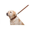 Повідець "CoLLaR" подвійний з прошивкою, коричневий - Image 7