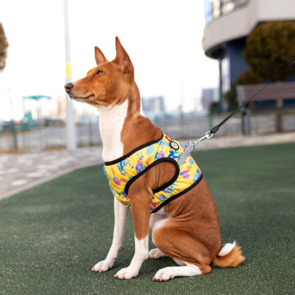 Шлея для собак м'яка WAUDOG Clothes з QR-паспортом малюнок "Рік та Морті 3" - Image 7