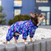 Вітровка для собак WAUDOG Clothes малюнок "Рік та Морти 1" - Image 2