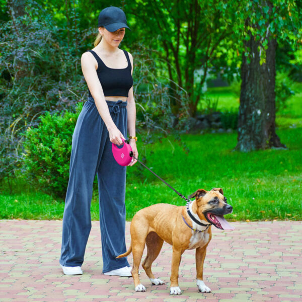 Повідець-рулетка для собак WAUDOG R-leash з контейнером для пакетів світловідбивна стрічка - Image 30