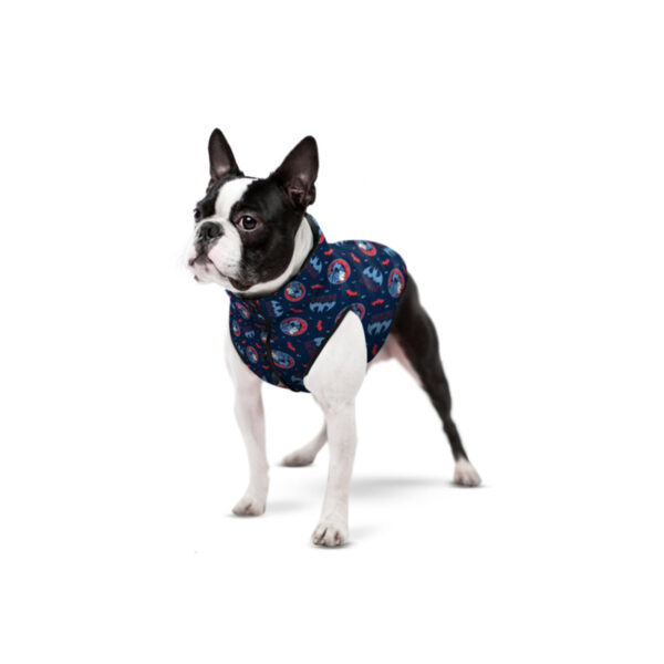 Курточка для собак WAUDOG Clothes з малюнком "Бетмен червоно-блакитний" - Image 23