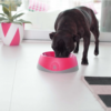 LickiMat OH Bowl Black Миска для собак, чорна, 250 мл - Image 2