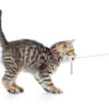 Нашийник Smart ID Cat Collar - Leopard Pink 1 size - Image 3