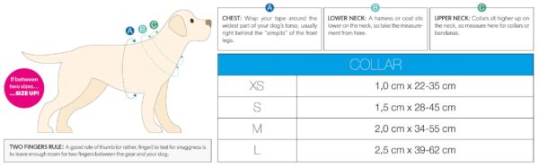 Нашийник Smart ID Collar - Magical - Image 3
