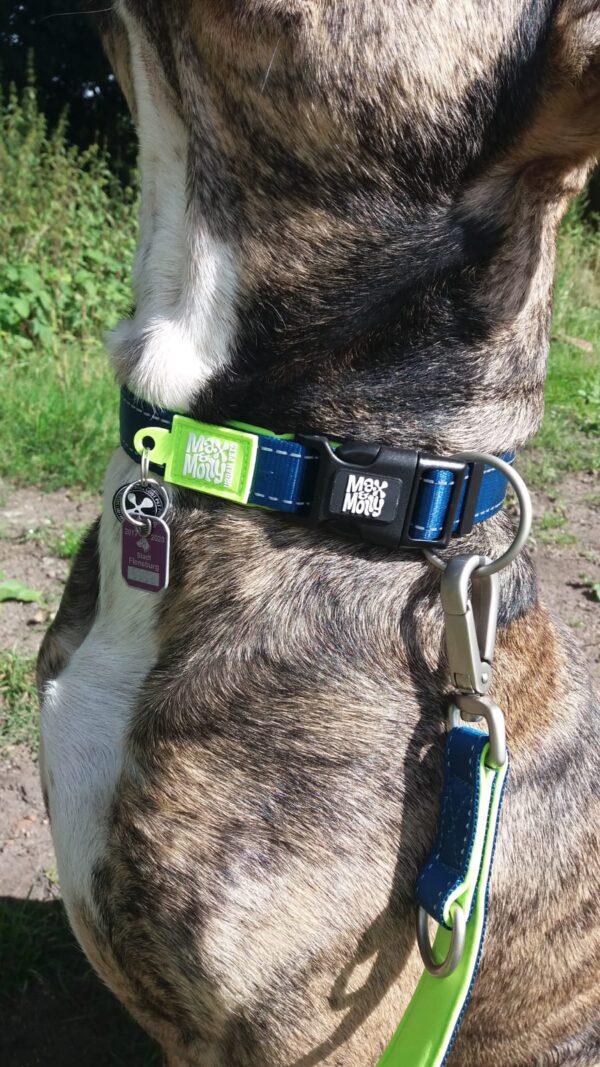Нашийник Smart ID Collar - Matrix Lime Green - Image 4