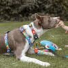 Шлія H-Harness - Little Monsters - Image 3